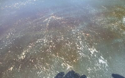 Cabriolet Roof Cleaning & Re Proofing