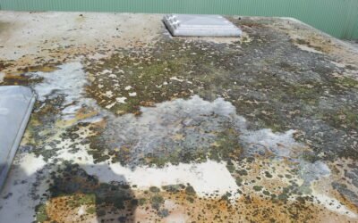 Caravan & Motor Home Cleaning & Valeting