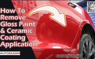 Tesla Gloss Paint Contamination Removal & Ceramic Coating Detail